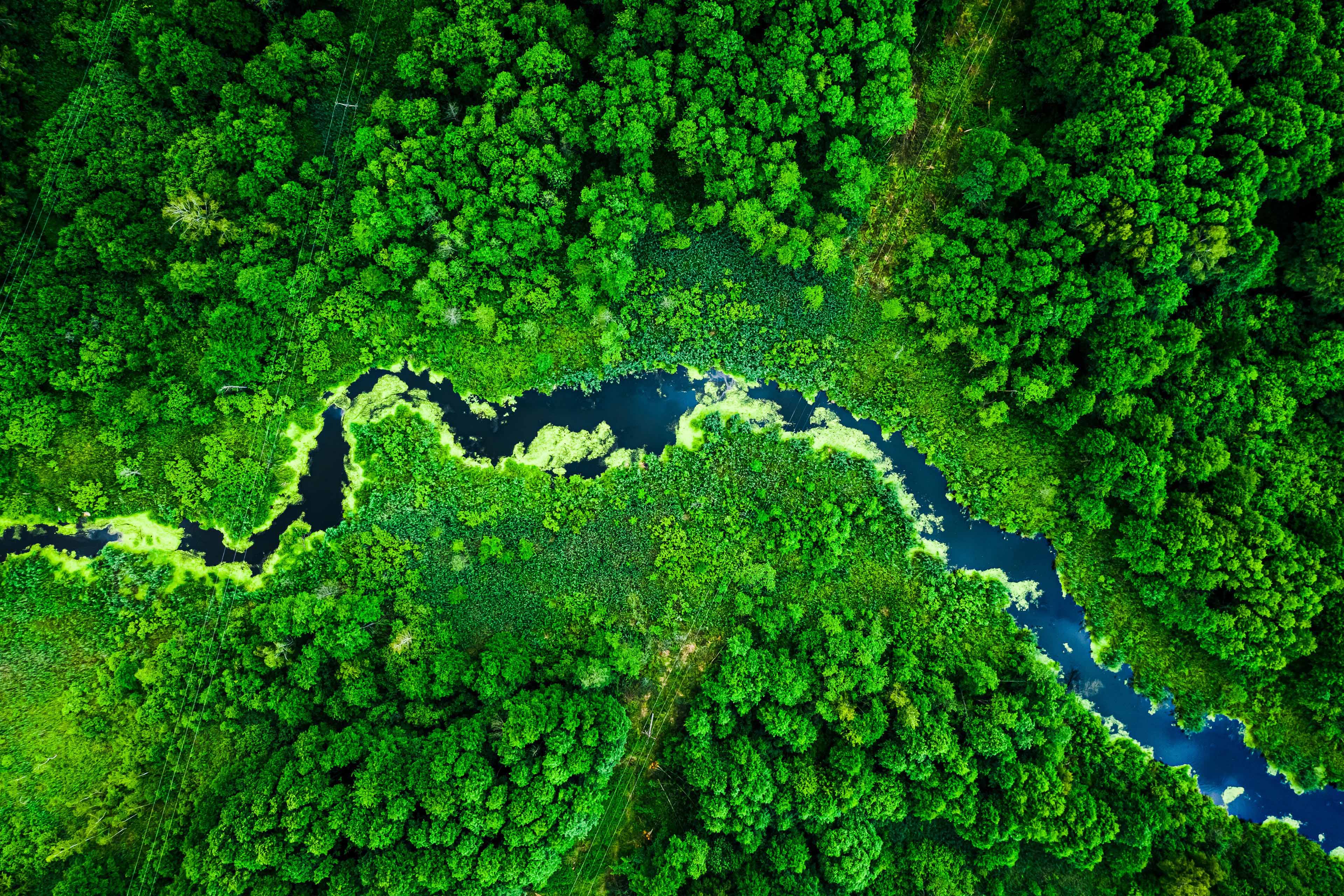 Bild von biodiveritat