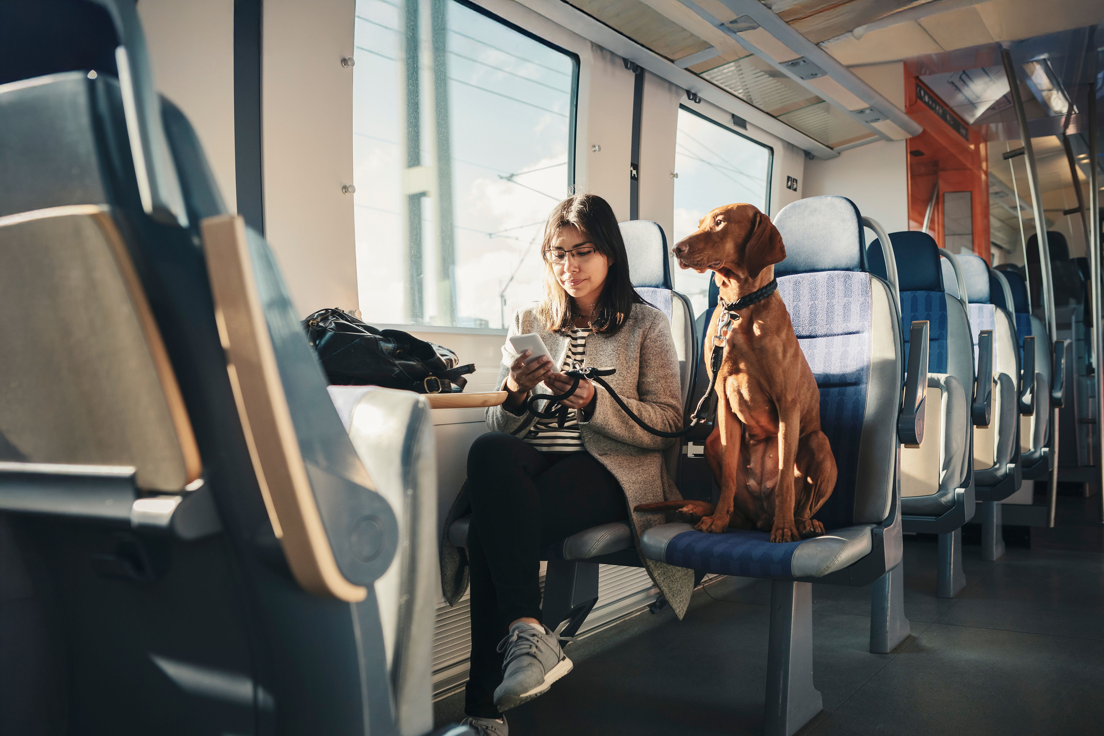 young female passenger using mobile phone while commuting with dog in train