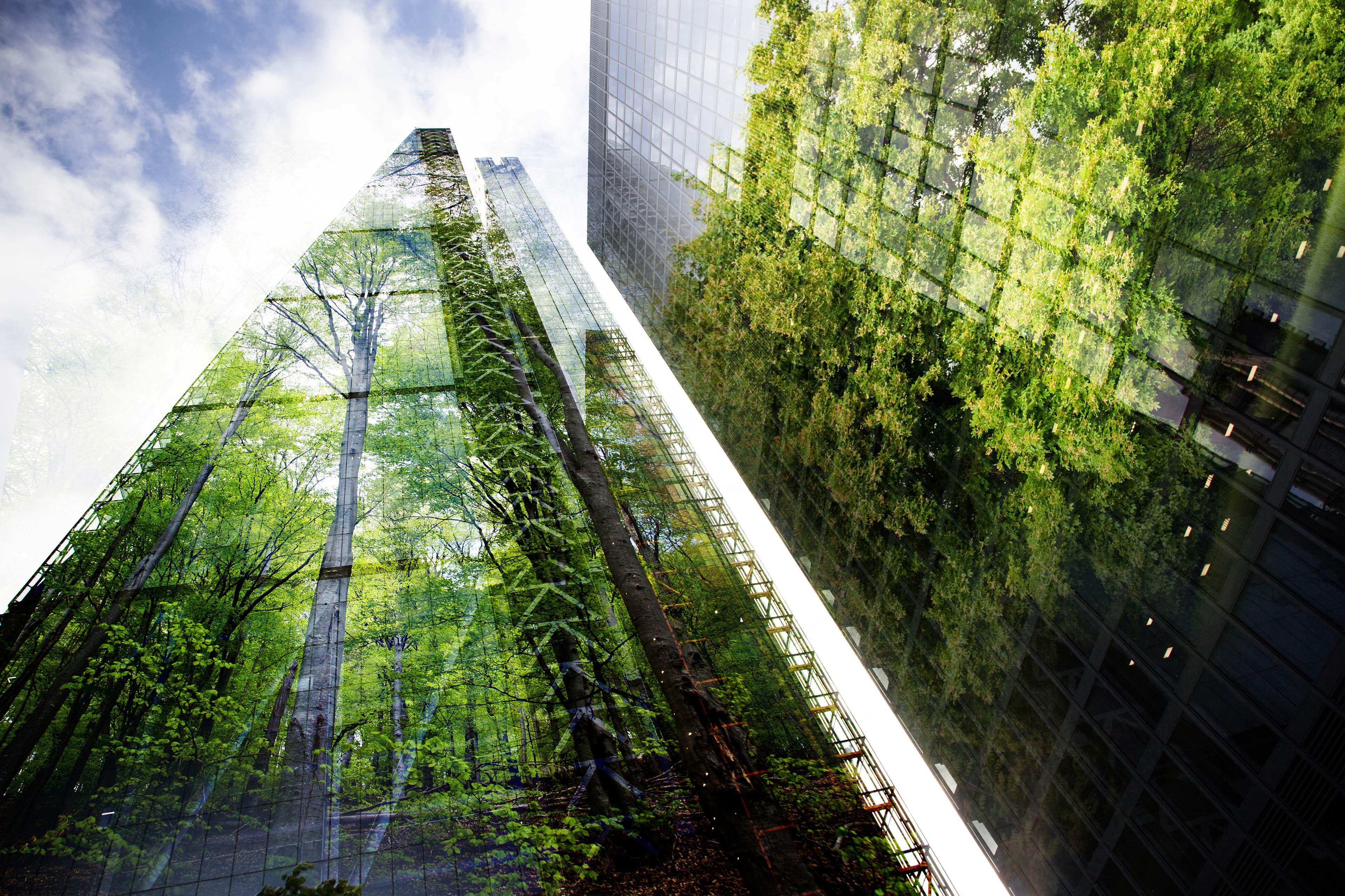 Impuestos verdes y criterios ESG