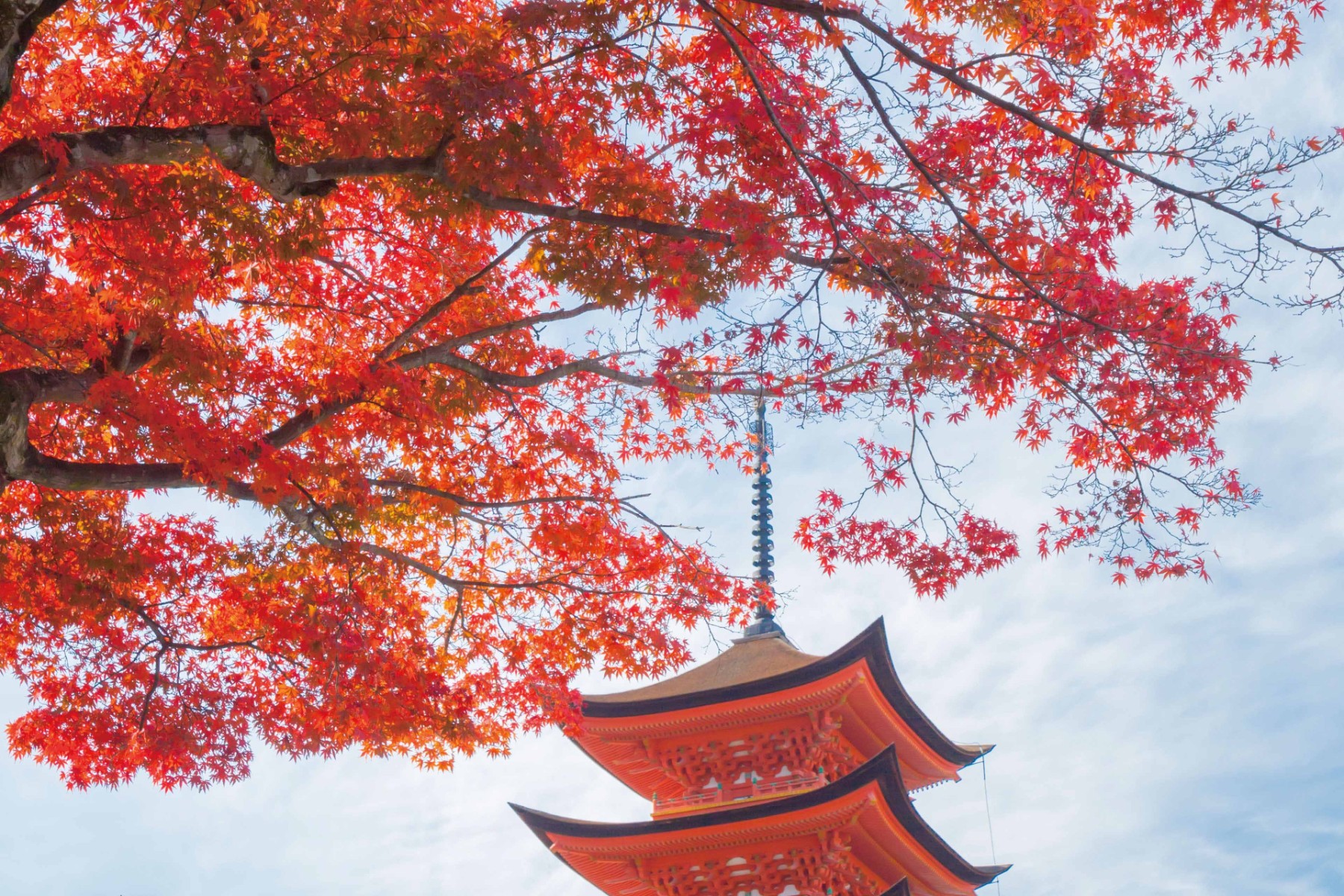建設業のKAM事例分析
